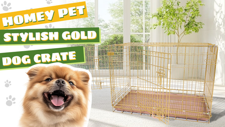 Cat litter product guide