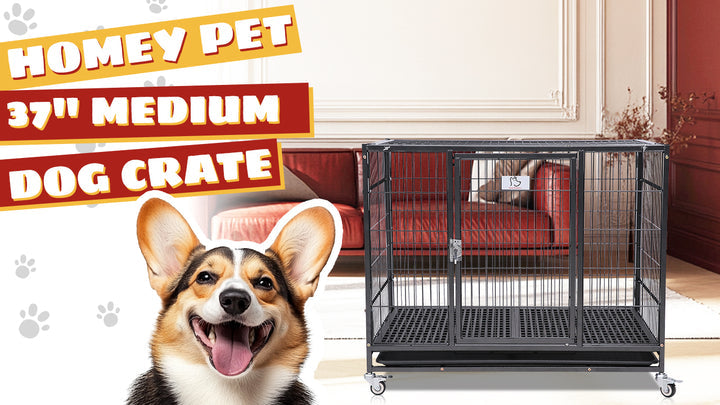 Open litter box guide